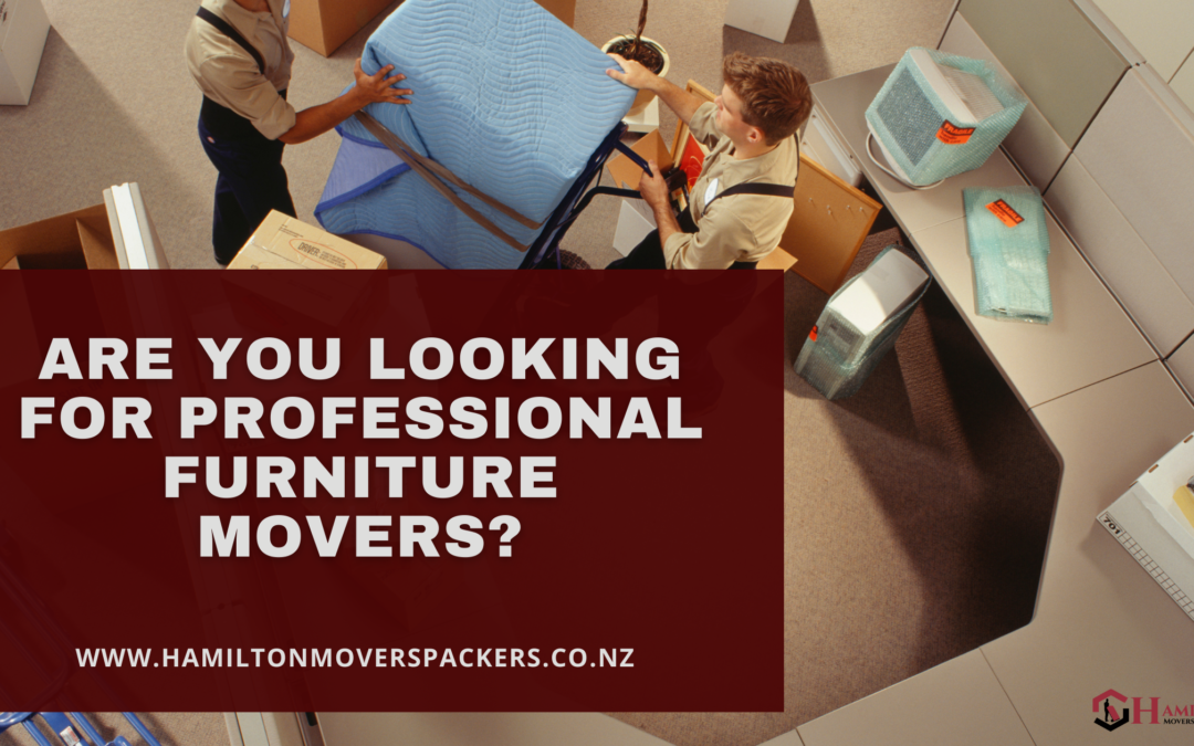 Are You Looking For Professional Furniture Movers?