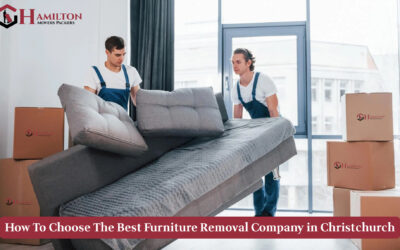 How To Choose The Best Furniture Removal Company in Christchurch