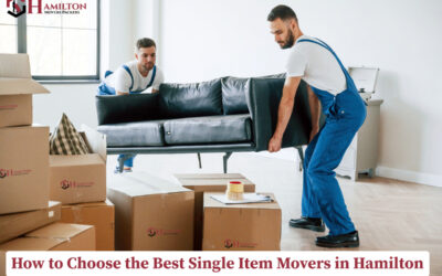 How to Choose the Best Single Item Movers in Hamilton