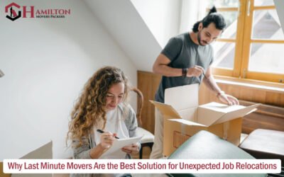6 Smart Tips For Moving A Pool Table: Step By Step Guide Why Last Minute Movers Are the Best Solution for Unexpected Job Relocations